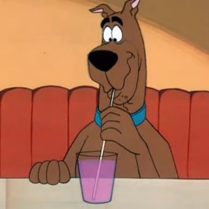 Meet your Posher, Stella